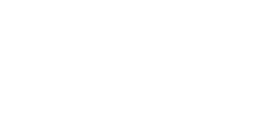 Treid — Trade Marketing Chile, Perú y Colombia